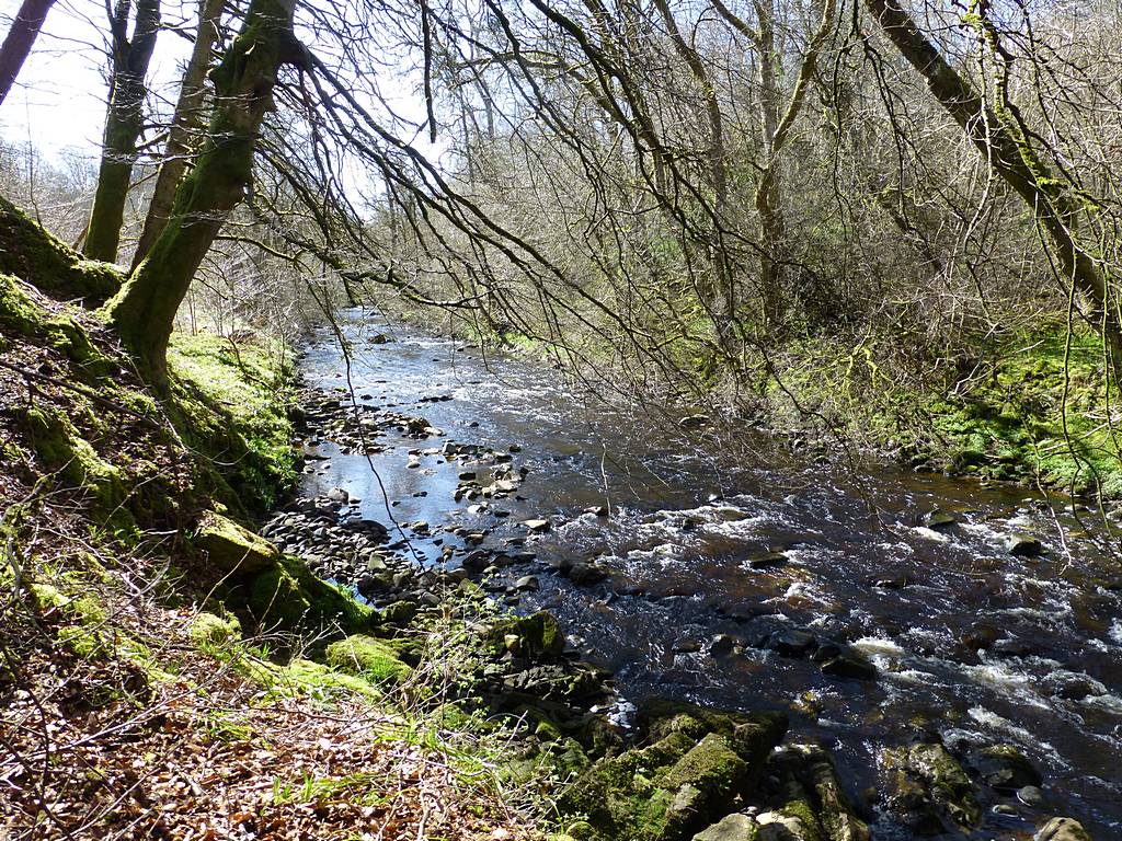 River Nethan to the North of Auchlochan. 16th April 2015